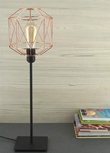 Wire hot Cage Shade Table Lamp