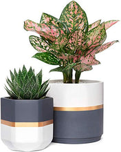 Load image into Gallery viewer, Copper, Grey, White Plant Pot | Set Of 2 | 12.7cm, 16cm
