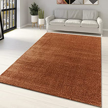 Load image into Gallery viewer, Extra Large Copper Coloured Rug | Rust, Brown | Woven Carpet | 200 x 290cm
