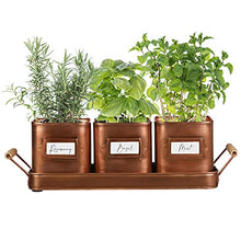 Load image into Gallery viewer, Set Of 3 | Rustic Copper Metal Kitchen Windowsill Plant Pots | Indoor Herb Planters | Dibor 
